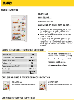 Zanussi ZBA6190A Manuel utilisateur