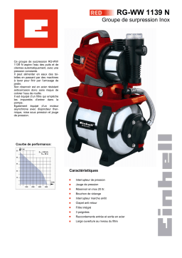 EINHELL RG-WW 1139 N Manuel utilisateur