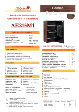 ARTEVINO AE215M1 Manuel utilisateur