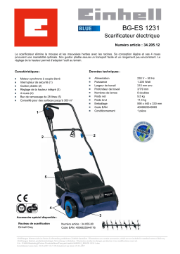 EINHELL BG-ES 1231 Manuel utilisateur