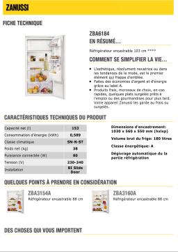 Zanussi ZBA6184 Manuel utilisateur