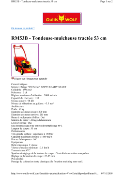 Wolf RM53B Manuel utilisateur