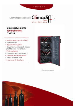 Climadiff CVL293 Manuel utilisateur