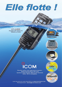 ICOM IC-M33 Manuel utilisateur