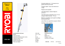 Ryobi CPS-1801 Manuel utilisateur