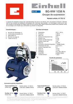 EINHELL BG-WW 1038 N Manuel utilisateur