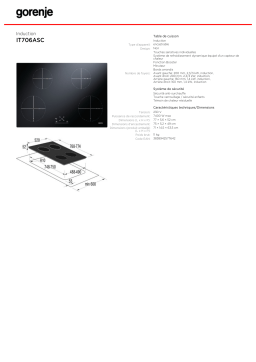 Gorenje IT706ASC Manuel utilisateur