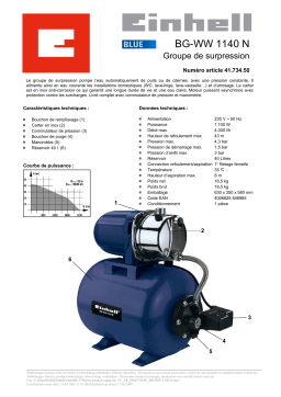 EINHELL BG-WW 1140 N Manuel utilisateur