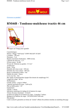 Wolf RM46B Manuel utilisateur