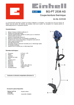 EINHELL BG-PT 2538 AS Manuel utilisateur