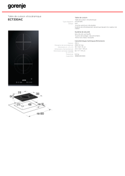 Gorenje ECT330AC Manuel utilisateur