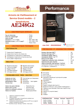 ARTEVINO AE248G2 Manuel utilisateur