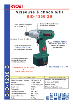 Ryobi BID-1200 2B Manuel utilisateur