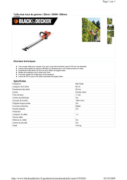 Black & Decker GT6026 Manuel utilisateur