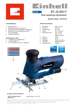 EINHELL BT-JS 800 P Manuel utilisateur