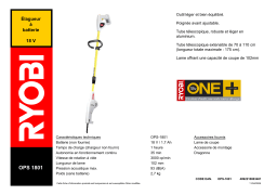 Ryobi OPS-1801 Manuel utilisateur