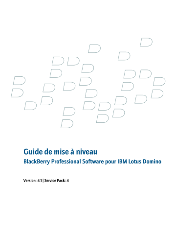 Manuel du propriétaire | Blackberry PROFESSIONAL SOFTWARE FOR IBM LOTUS DOMINO Manuel utilisateur | Fixfr