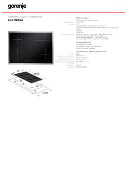 Gorenje ECS780AX Manuel utilisateur