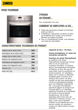 Zanussi ZYB460X Manuel utilisateur