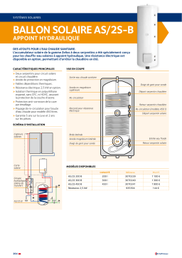 Chaffoteaux & Maury AS-2S 200 B Manuel utilisateur