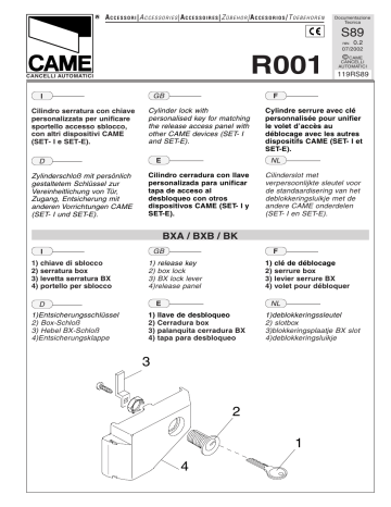 Manuel du propriétaire | CAME R001 Manuel utilisateur | Fixfr