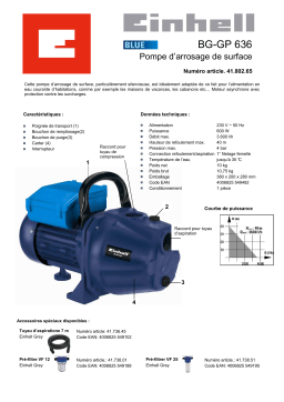 EINHELL BG-GP 636 Manuel utilisateur