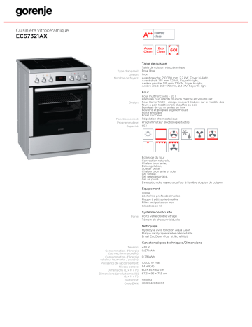 Manuel du propriétaire | Gorenje EC67321AX Manuel utilisateur | Fixfr