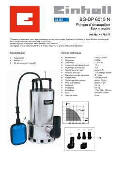 EINHELL BG-DP 6015 N Manuel utilisateur