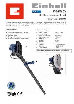 EINHELL BG-PB 33 Manuel utilisateur