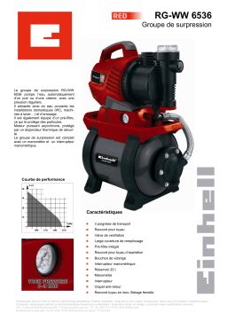 EINHELL RG-WW 6536 Manuel utilisateur