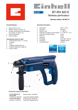 EINHELL BT-RH 920 E Manuel utilisateur