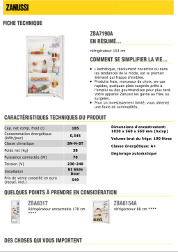 Zanussi ZBA7190A Manuel utilisateur