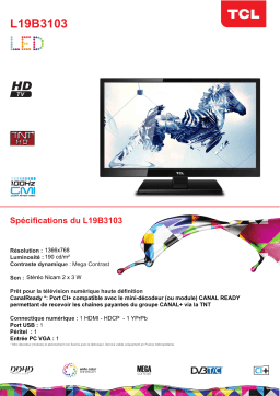 TCL L19B3103 Manuel utilisateur