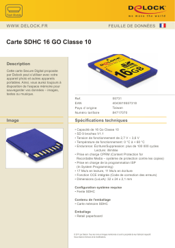 DeLOCK 55731 SDHC Card 16 GB Class 10 Fiche technique