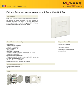 DeLOCK 86195 Modular Wall Outlet flush mount 2 Port Cat.6A LSA Fiche technique | Fixfr