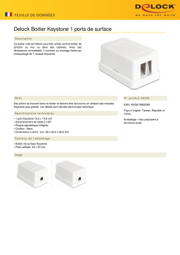 DeLOCK 86226 Keystone Surface Mounted Box 1 Port Fiche technique