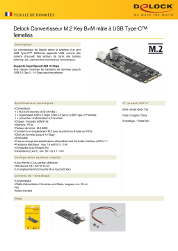 DeLOCK 63174 Converter M.2 Key B+M male to USB Type-C™ female Fiche technique