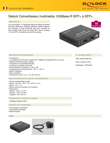 DeLOCK 86472 Media Converter 10GBase-R SFP+ to SFP+ Fiche technique | Fixfr