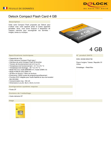DeLOCK 54473 Compact Flash Card 4 GB Fiche technique | Fixfr