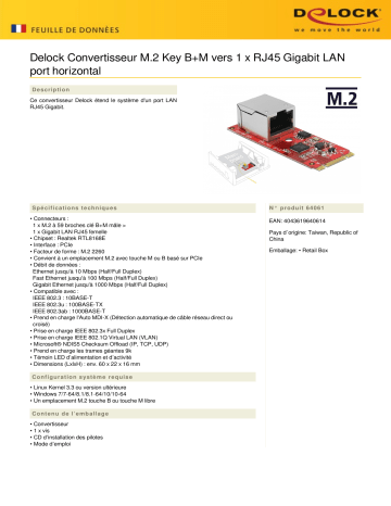 DeLOCK 64061 M.2 Converter Key B+M to 1 x RJ45 Gigabit LAN port horizontal Fiche technique | Fixfr