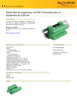 DeLOCK 66082 Terminal Block Set for DIN Rail 10 pin Fiche technique