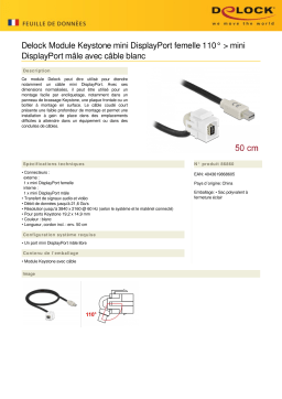 DeLOCK 86860 Keystone Module mini DisplayPort female 110° > mini DisplayPort male Fiche technique