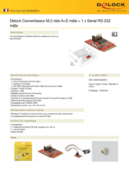 DeLOCK 62951 Converter M.2 Key A+E male > 1 x Serial RS-232 male Fiche technique