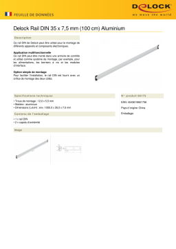 DeLOCK 66175 DIN Rail 35 x 7.5 mm (100 cm) Aluminium Fiche technique