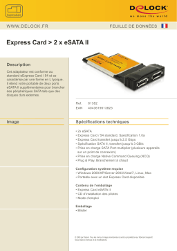 DeLOCK 61382 Express Card > 2 x eSATA 3 Gb/s Fiche technique