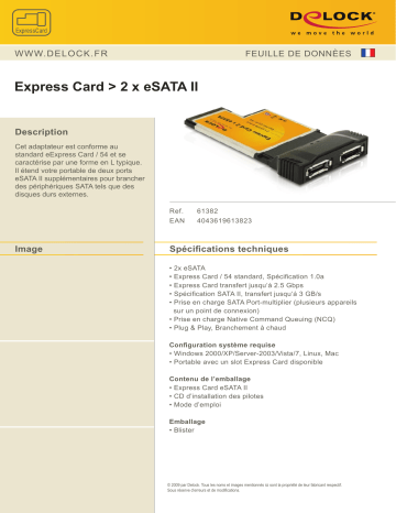 DeLOCK 61382 Express Card > 2 x eSATA 3 Gb/s Fiche technique | Fixfr