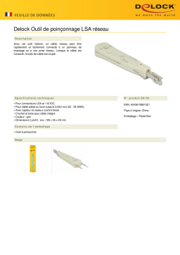 DeLOCK 86152 Network LSA Punch Down Tool Fiche technique