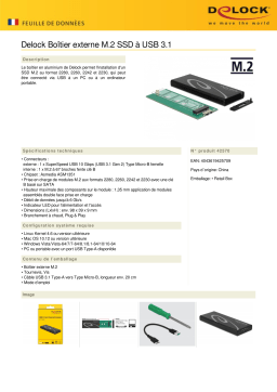 DeLOCK 42570 External Enclosure M.2 SSD > USB 3.1 Fiche technique