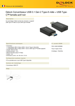 DeLOCK 65689 Converter USB 3.1 Gen 2 Type-A male > USB Type-C™ female Active black Fiche technique