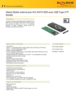 DeLOCK 42003 External Enclosure for M.2 SATA SSD Fiche technique